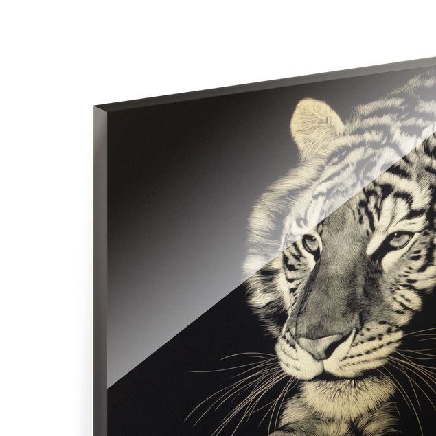 Bilder auf Glas Tiger im Sonnenlicht vor Schwarz