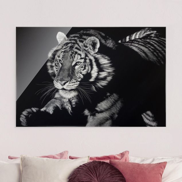 Wandbilder Tiere Tiger im Sonnenlicht vor Schwarz