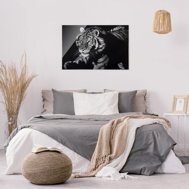 Glasbilder Schwarz-Weiß Tiger im Sonnenlicht vor Schwarz