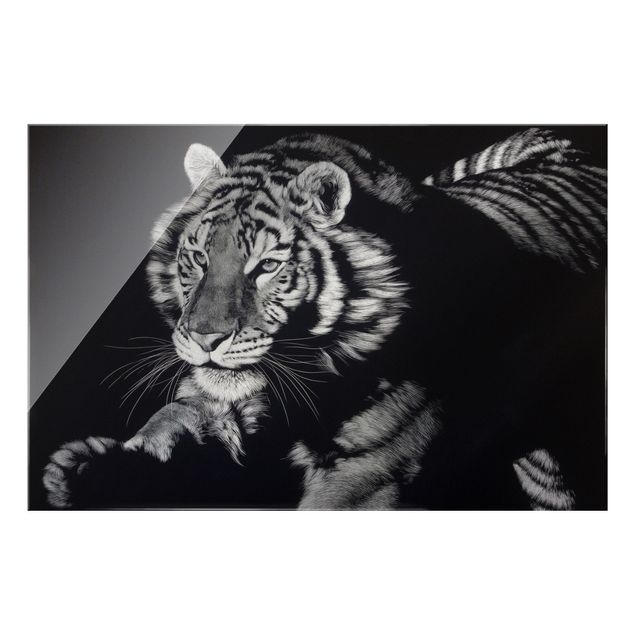 Schöne Wandbilder Tiger im Sonnenlicht vor Schwarz