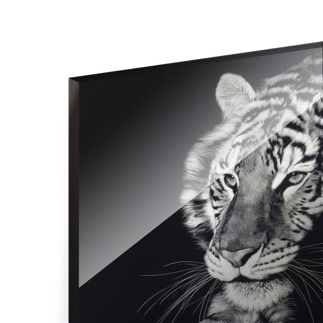 Bilder auf Glas Tiger im Sonnenlicht vor Schwarz