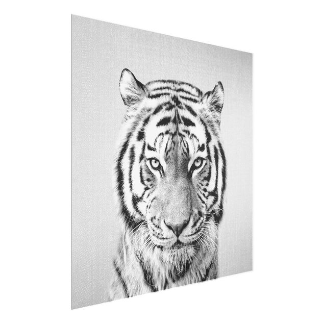 Glasbilder Tiere Tiger Tiago Schwarz Weiß
