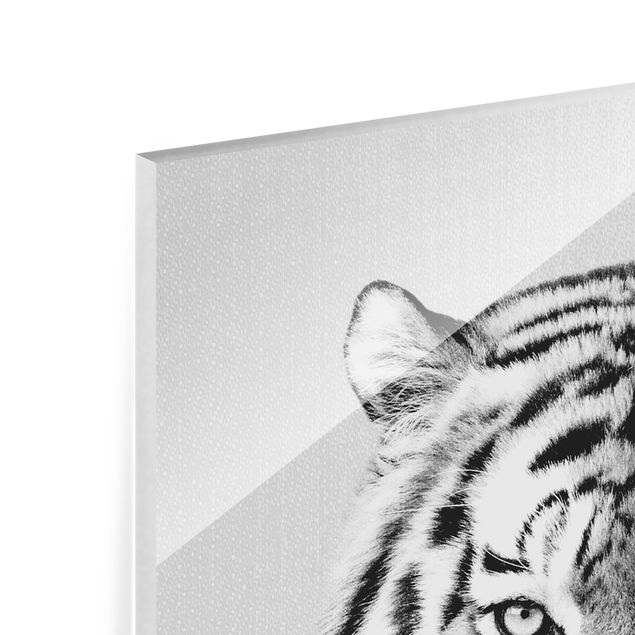 Glasbild - Tiger Tiago Schwarz Weiß - Quadrat