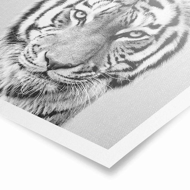 Bilder für die Wand Tiger Tiago Schwarz Weiß