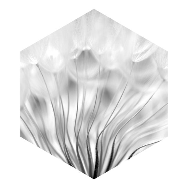 Tapeten weiß Traumhafte Pusteblume schwarz-weiß