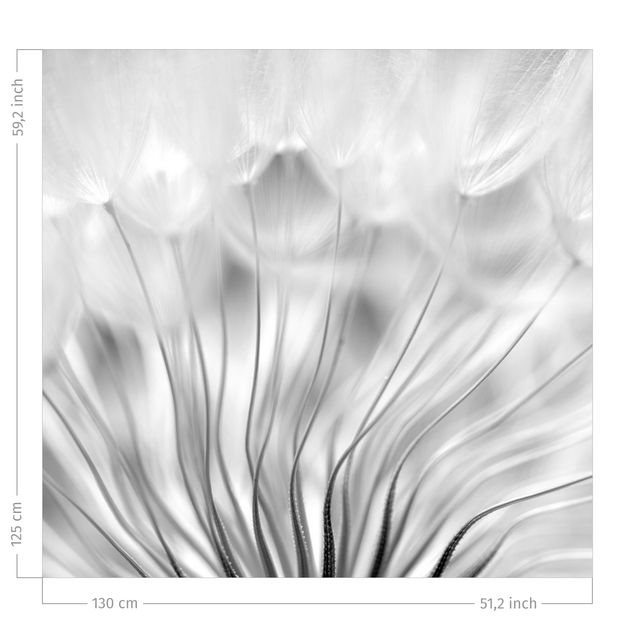 Vorhänge Blumen Traumhafte Pusteblume Schwarz-Weiß