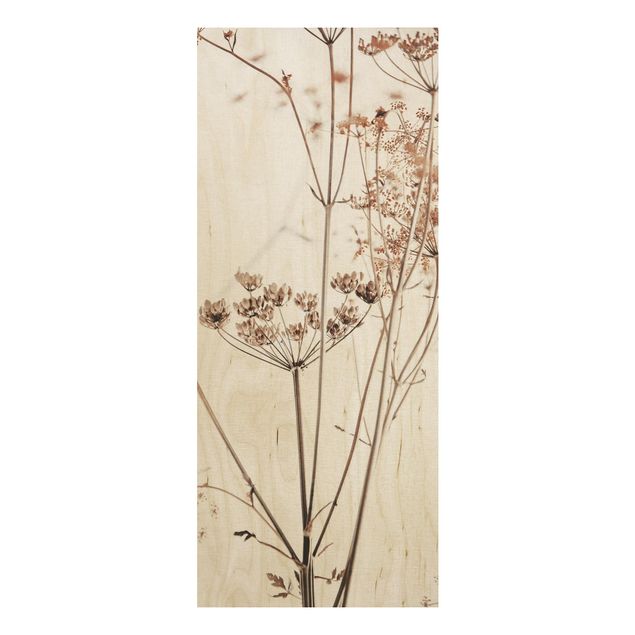 Moderne Holzbilder Trockenblume im Lichtspiel