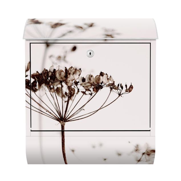 Designer Briefkasten Trockenblume im Schatten