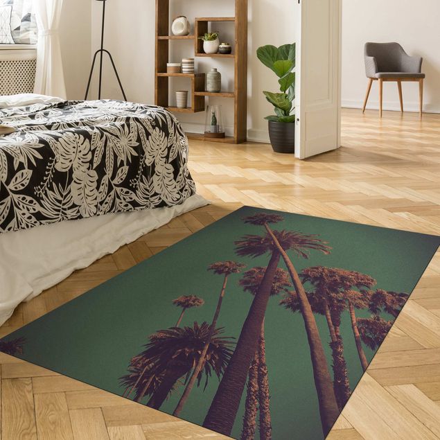 Moderne Teppiche Tropische Pflanzen Palmen und Himmel