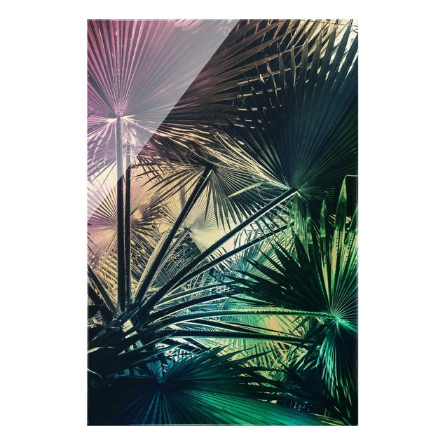 Glasbilder Tropische Pflanzen Palmenblatt in Türkis III