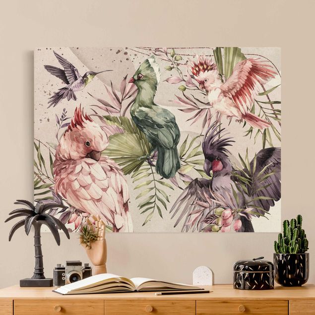 Wandbilder Vögel Tropische Vögel - Bunte Kakadus und Kolibri