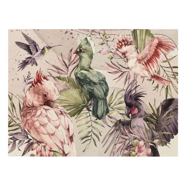 Leinwand Kunstdruck Tropische Vögel - Bunte Kakadus und Kolibri