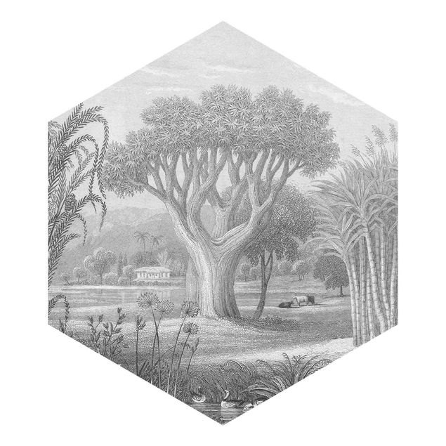 Design Tapete Tropischer Kupferstich Garten mit Teich in Grau