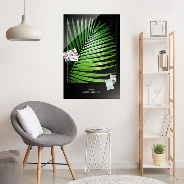 Glasbilder XXL Tropisches Palmblatt