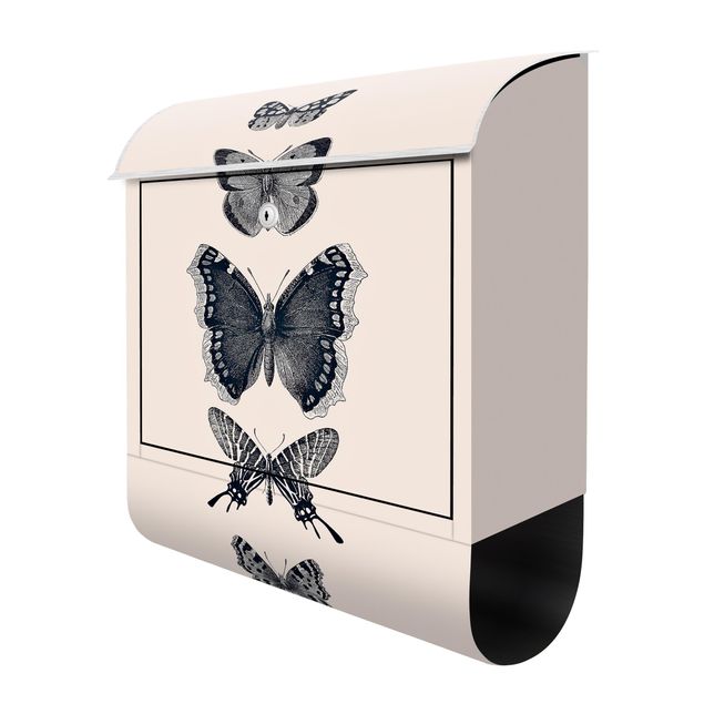 Designer Briefkasten Tusche Schmetterlinge auf Beige