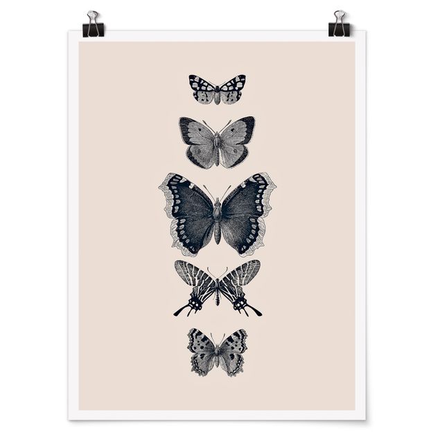 Bilder für die Wand Tusche Schmetterlinge auf Beige