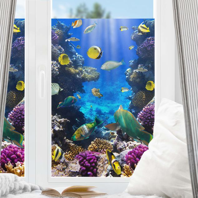 Fensterbilder Landschaft Underwater Dreams