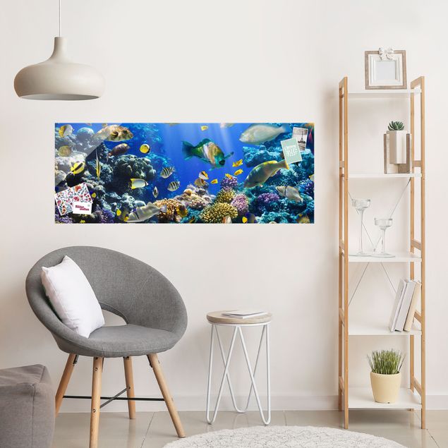 Wandbilder Tiere Underwater Reef