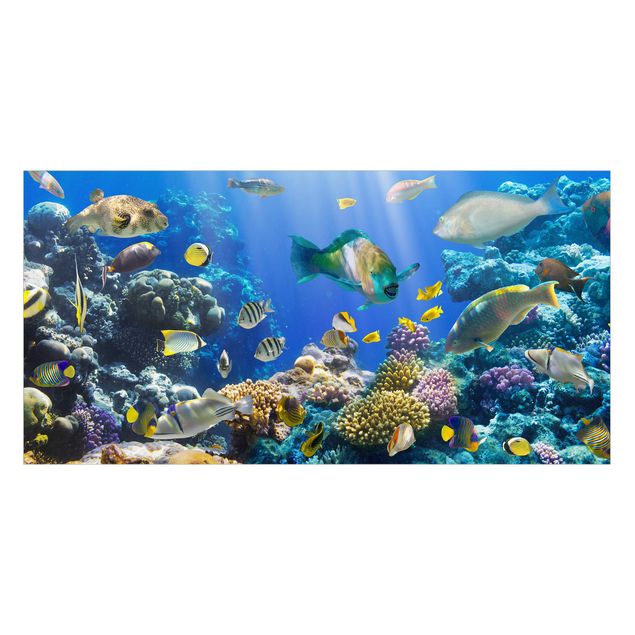 Fensterbilder Underwater Reef