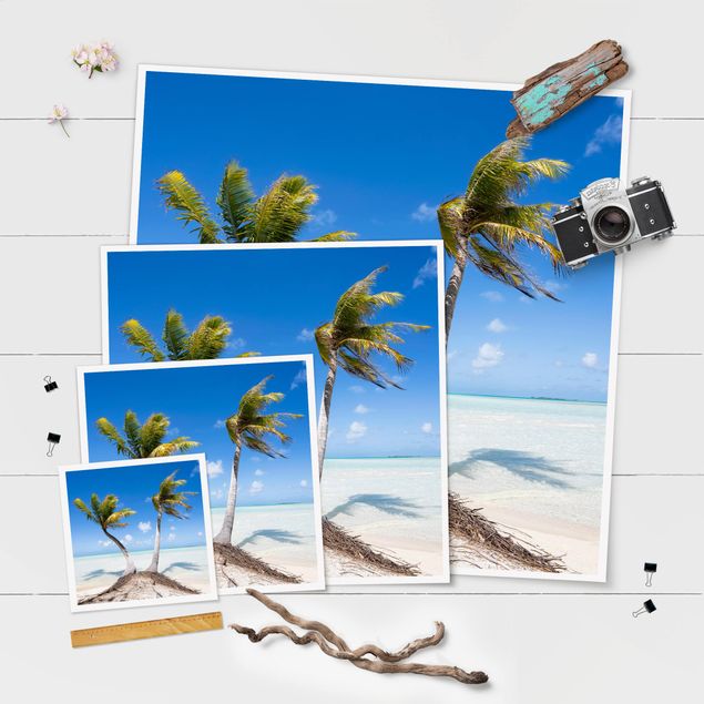 Poster - Urlaub unter Palmen - Quadrat 1:1
