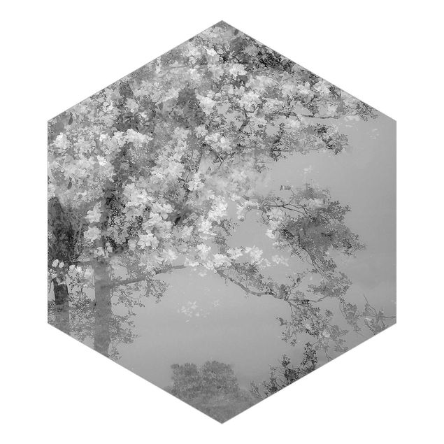 Design Tapete Verträumte Bäume in Schwarz-weiß