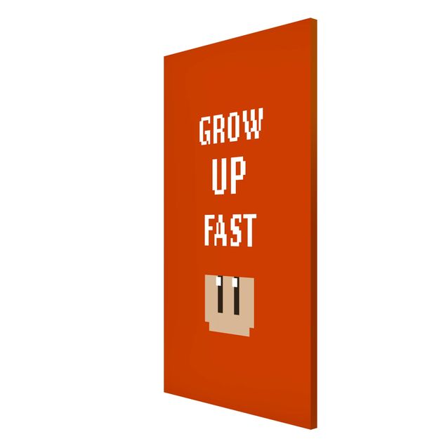 Memoboard Video Game Grow Up Fast In Red