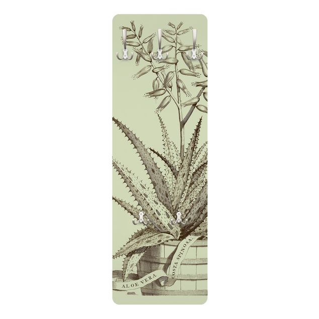 Garderobe - Vintage Aloe Vera Costa Spinosa