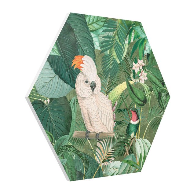 Hexagon Wandbilder Vintage Collage - Kakadu und Kolibri