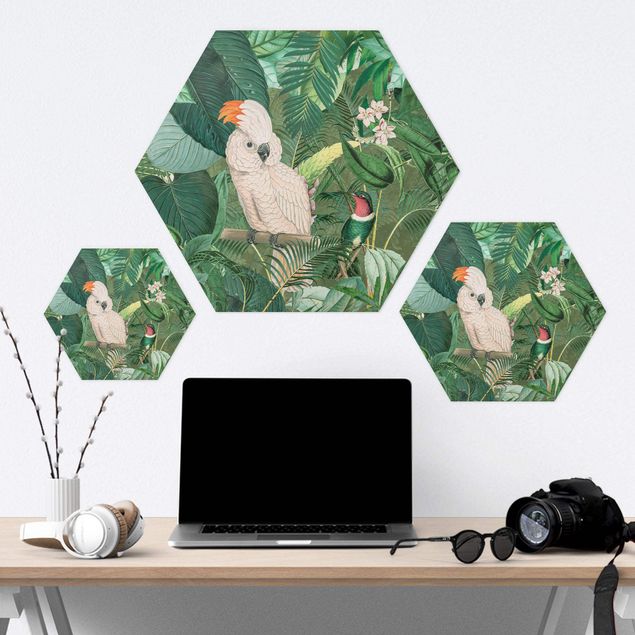 Hexagon-Forexbild - Vintage Collage - Kakadu und Kolibri