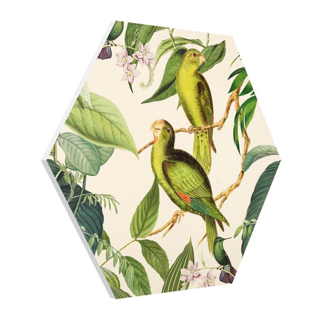 Hexagon Bilder Vintage Collage - Papageien im Dschungel