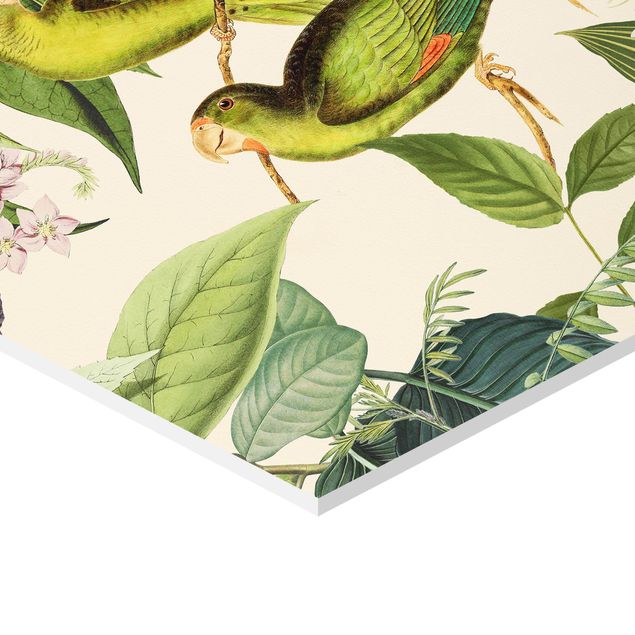 Hexagon-Forexbild - Vintage Collage - Papageien im Dschungel