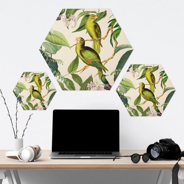 Hexagon-Forexbild - Vintage Collage - Papageien im Dschungel