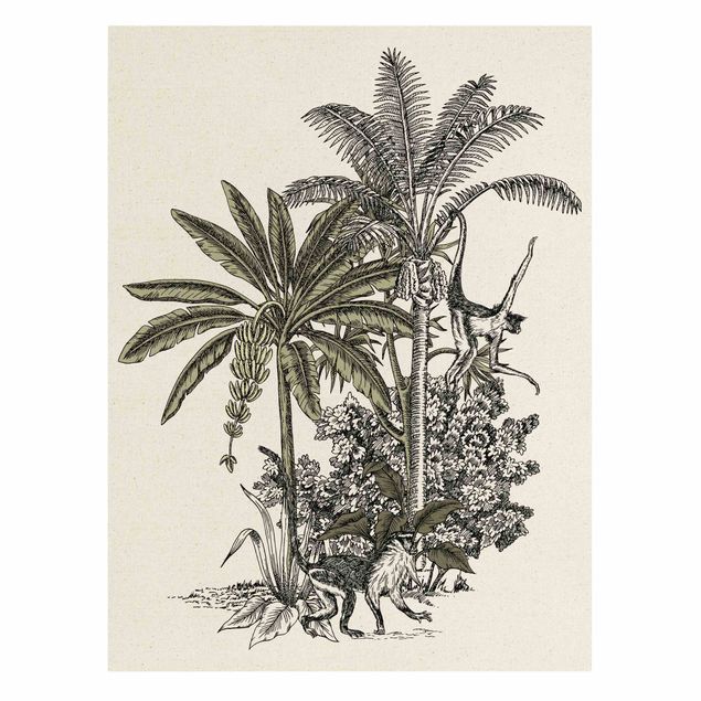 Leinwand Kunstdruck Vintage Illustration - Affen und Palmen