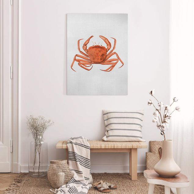 Wandbilder Tiere Vintage Illustration Rote Krabbe