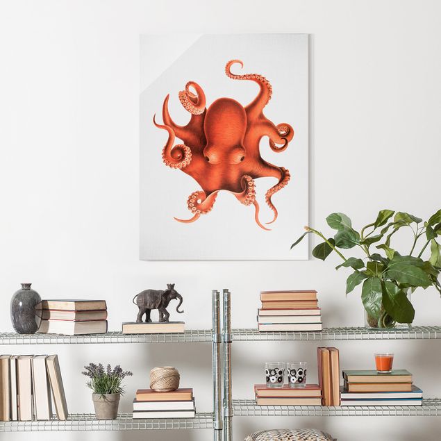 Glasbilder Meer Vintage Illustration Roter Oktopus