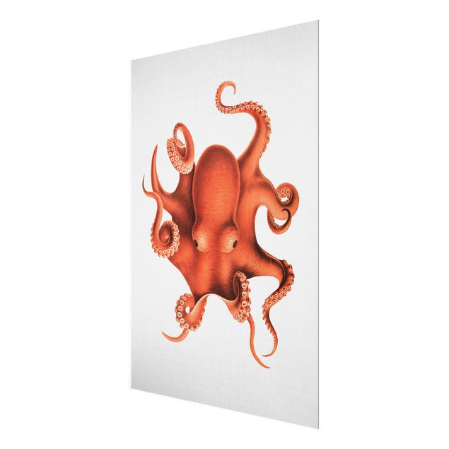 Bilder auf Glas Vintage Illustration Roter Oktopus
