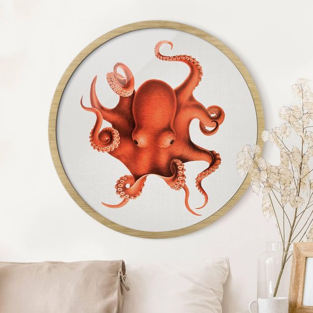 Wandbild rund Vintage Illustration Roter Oktopus