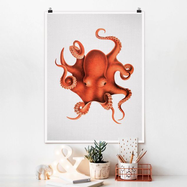 Wandbilder Tiere Vintage Illustration Roter Oktopus