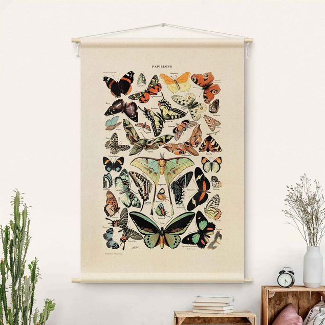 Wandbilder Tiere Vintage Lehrtafel Schmetterlinge und Falter