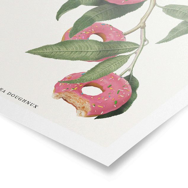 Poster Vintage Pflanze - Donut