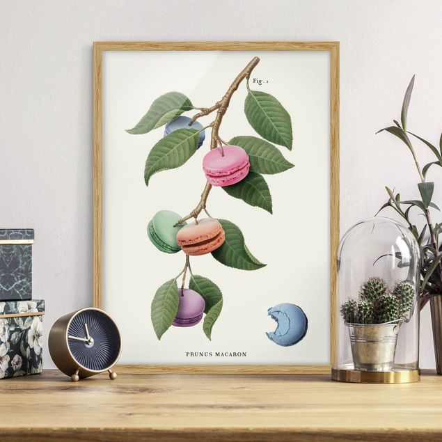 Bilder mit Rahmen Blumen Vintage Pflanze - Macaron