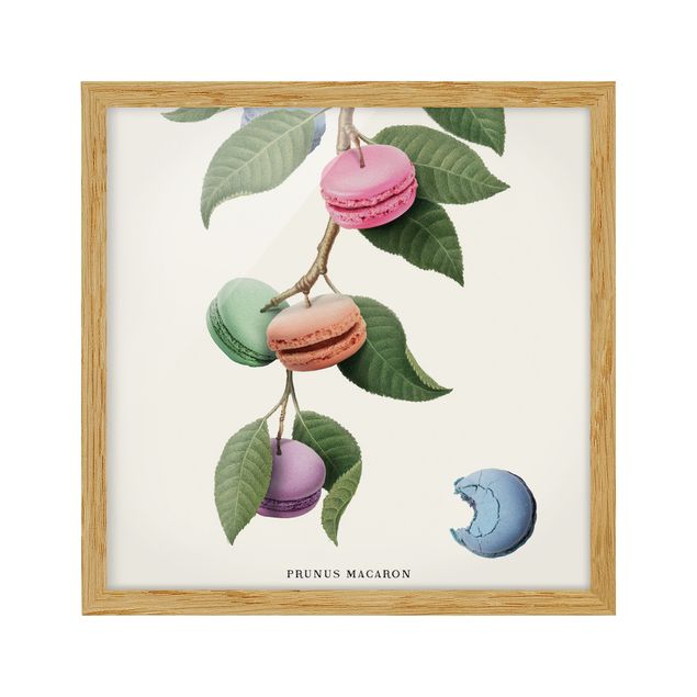 Wandbilder Vintage Pflanze - Macaron