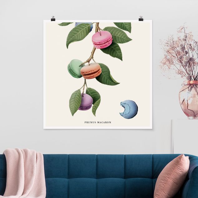 Poster Kunstdruck Vintage Pflanze - Macaron