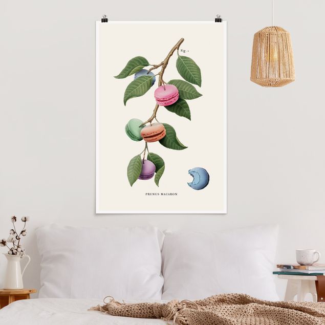 Kunstkopie Poster Vintage Pflanze - Macaron