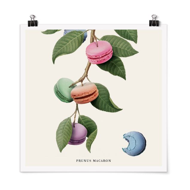 Schöne Wandbilder Vintage Pflanze - Macaron