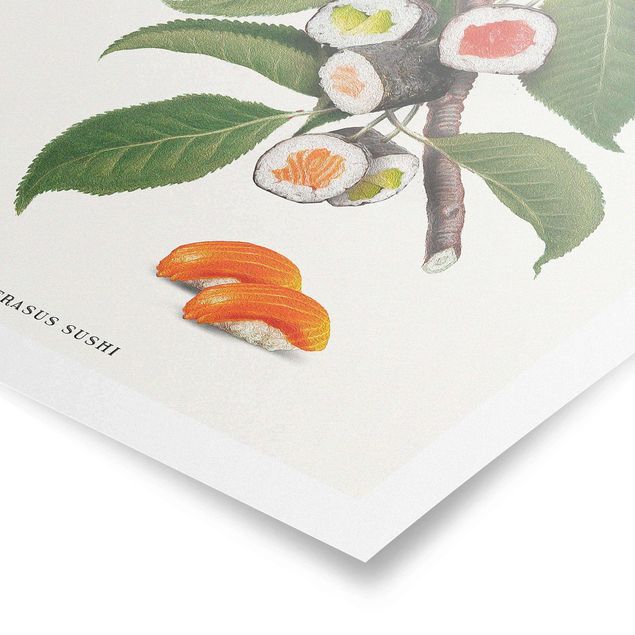 Poster kaufen Vintage Pflanze - Sushi