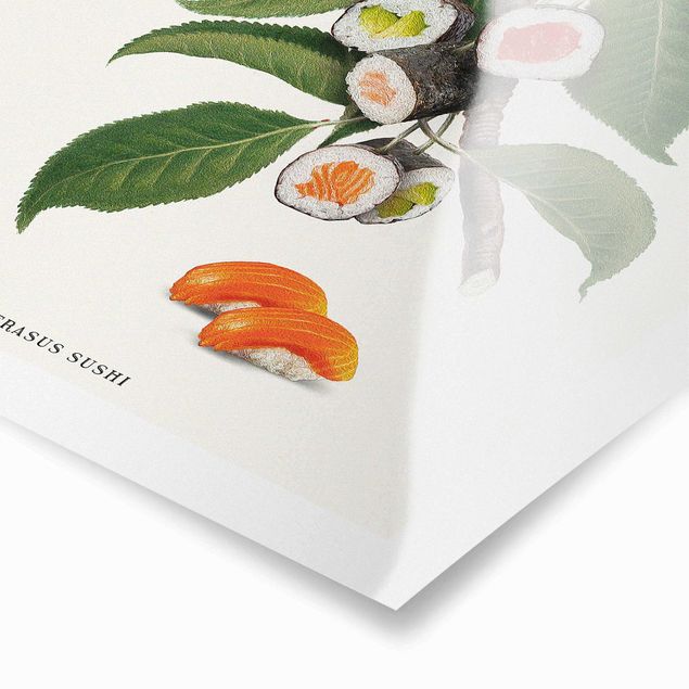 Poster - Vintage Pflanze - Sushi - Quadrat 1:1