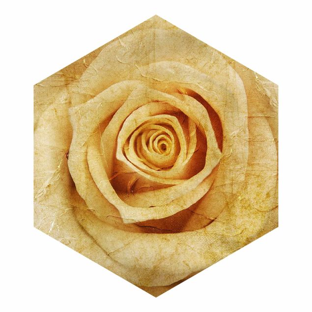 Wandtapete Design Vintage Rose
