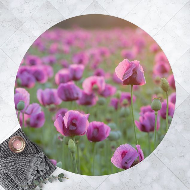 Teppiche Violette Schlafmohn Blumenwiese im Frühling