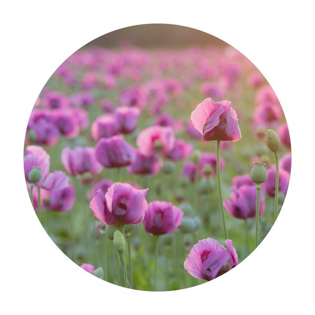 Teppich Natur Violette Schlafmohn Blumenwiese im Frühling